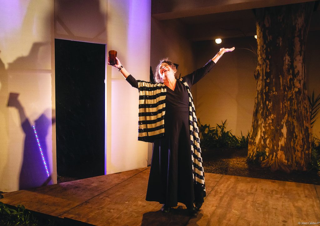 Mirada – Festival Ibero-americano de Artes Cênicas em Santos