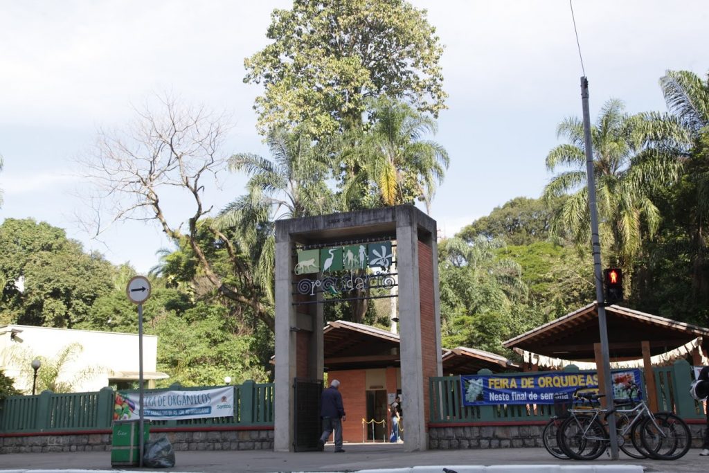 Orquidário de Santos terá programação para todas as idades nas férias