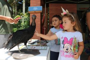 Inscrições para programação de férias do Orquidário de Santos vão até esta terça-feira