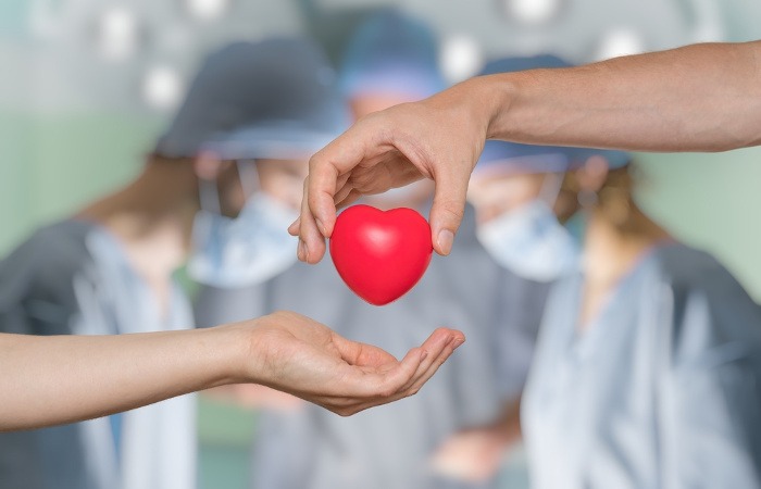Um doador de órgãos e tecidos salva até 10 vidas | Jornal da Orla