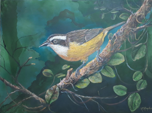 Brisamar Shopping recebe exposição “Maravilhas da Natureza”