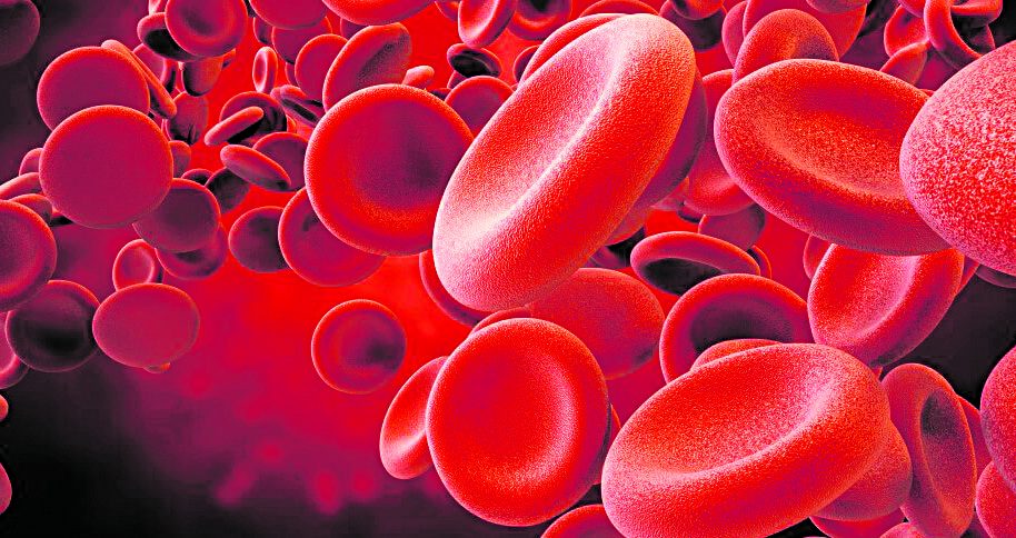 Excesso de ferro no sangue pode gerar complicações | Jornal da Orla