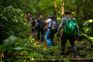 Conheça as opções de passeios em meio à natureza em Bertioga