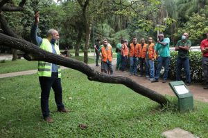 Santos irá monitorar mais de 30 mil árvores da cidade