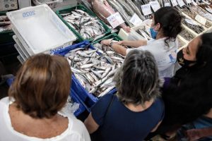 Sucesso no Mercado do Peixe, Festival da Sardinha lota no primeiro dia