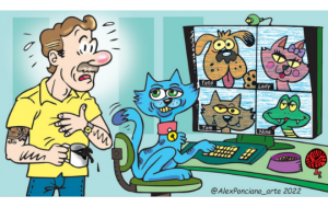 Os pets viram estrelas e a moda sai de moda
