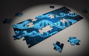 Mapeamento genético ajuda a diagnosticar câncer