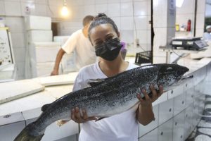 Vigilância Sanitária em Guarujá fiscaliza mais de 30 peixarias