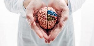 Bairro de Santos ganha clínica de Psicologia com atendimento gratuito
