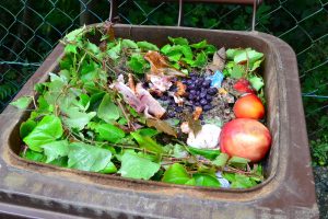 Itanhaém realiza projeto de compostagem doméstica