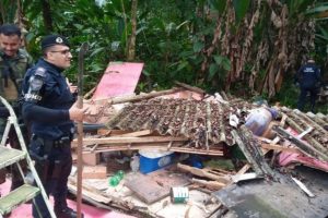 Força-tarefa na Área Continental de Santos destrói esconderijo com material de caça ilegal