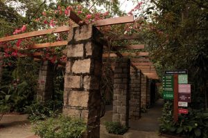 Aquário e Orquidário de Santos ganham mais um dia para visitação