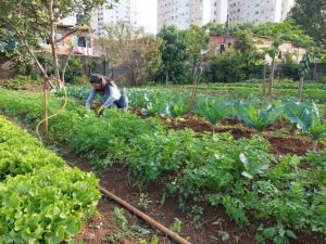 Campanha de digitalização da Comgás apoiará a ong Cidades Sem Fome