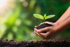 Semana do Meio Ambiente em Santos terá mais de 40 atividades