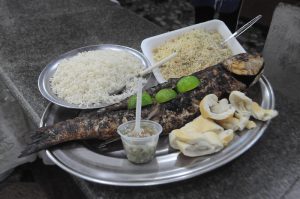Festa da Tainha de Guarujá começa neste sábado