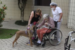 Santos oferece serviço de terapia com cães em asilos