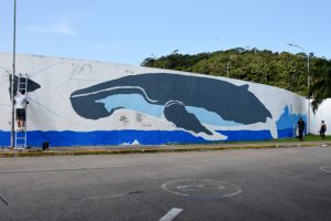 Praia Grande terá maior mural temático do Brasil sobre a vida marinha