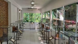 Exposição em Santos traz maquetes de invenções do padre Bartolomeu de Gusmão