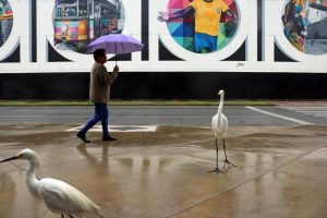 Com chegada de frente fria, Santos deve ter mínima de 15°C
