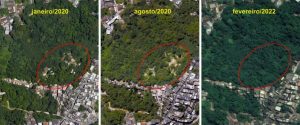Santos quer monitorar áreas e risco e controle de desmatamento com imagens de satélite