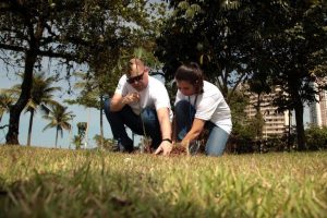 Santos inicia projeto ambiental para reduzir emissões de carbono