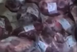 Carga de carne é saqueada por multidão em Cubatão