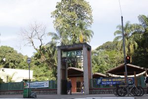 Orquidário de Santos celebra aniversário no sábado