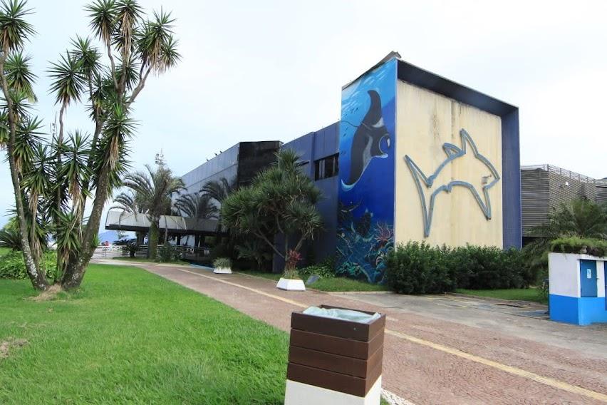 Divulgação/Prefeitura de Santos