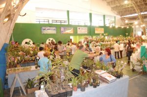 Associação dos Orquidófilos de Guarujá comemora 24 anos