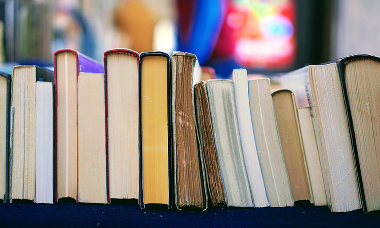 Estudantes de Itanhaém são selecionados para coletânea literária nacional | Jornal da Orla