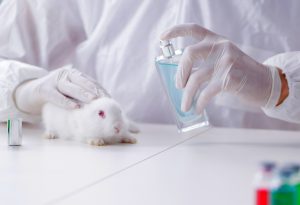 Senado aprova proibição de uso de animais em testes para cosméticos