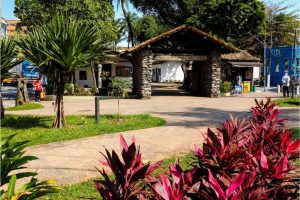 São Vicente tem programação no Dia Mundial da Cultura Africana e Afrodescendente