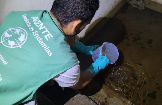 Peixe papa-larvas ajuda no combate à dengue em Santos 