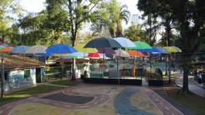 Aulão com marchinhas de carnaval vai agitar a Lagoa da Saudade