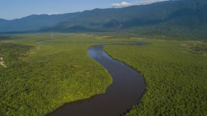 Bertioga desenvolve plano para conservação da Mata Atlântica