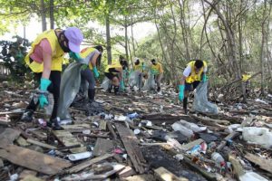 Manguezal em Santos terá mutirão de limpeza