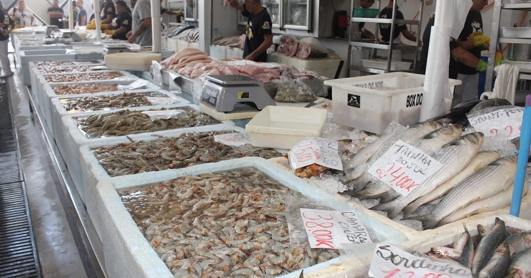 O Mercado de Peixe em Santos se prepara para a alta demanda na Semana Santa