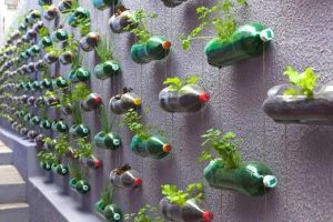 Oficina em Santos ensina a cultivar plantas alimentícias não convencionais