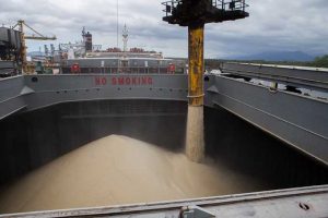 VLI comemora aumento de 11% na exportação de commodities