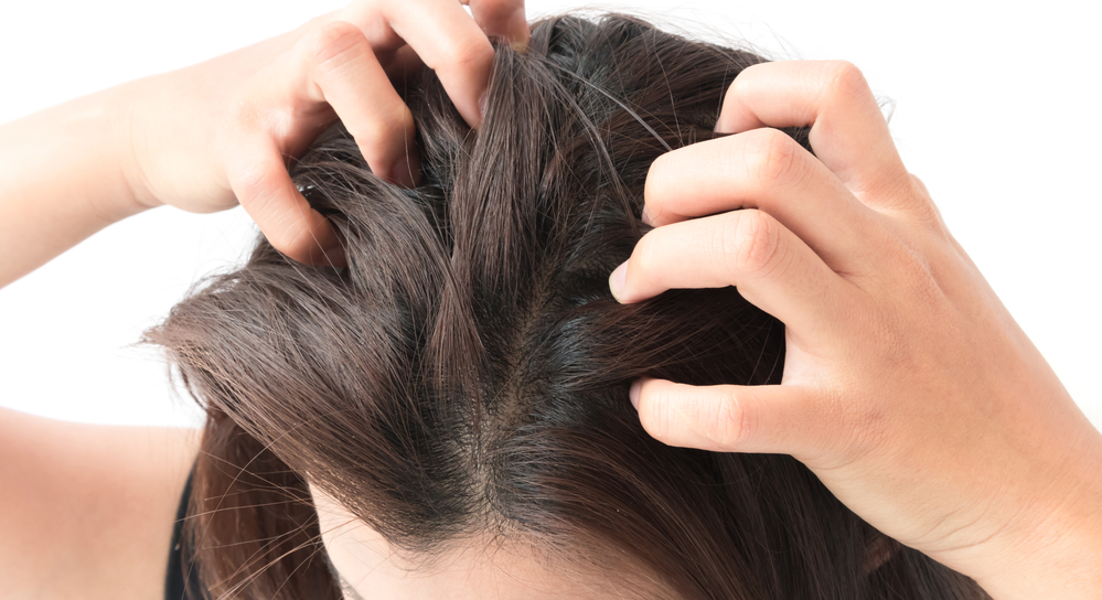 Coceira no couro cabeludo? Conheça as 10 principais causas | Jornal da Orla