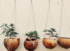 Curso de artesanato caiçara em Santos