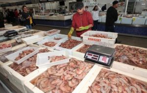 Mercado de Peixes realiza Festival do Camarão Cinza com até 30% de desconto