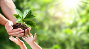 Seminário em Santos discute desenvolvimento sustentável