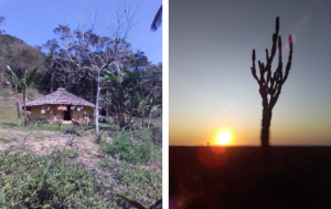 IBGE vai premiar fotografias tiradas por recenseadores do Censo 2022