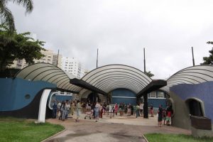 Aquário de Santos abre inscrições para cursos de férias