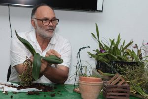Curso de manejo de Orquídeas acontece neste sábado em Santos