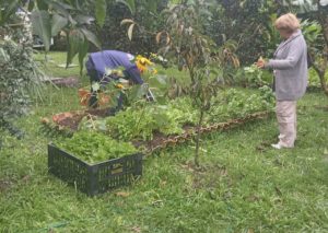 Feira da Cidadania em Guarujá entregou mais de seis toneladas de alimentos