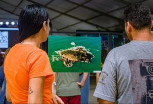 Festival de fotografia mobile em Bertioga abre seletiva