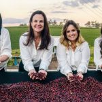 Festival Santos Café terá palestra sobre mulheres no mercado do grão