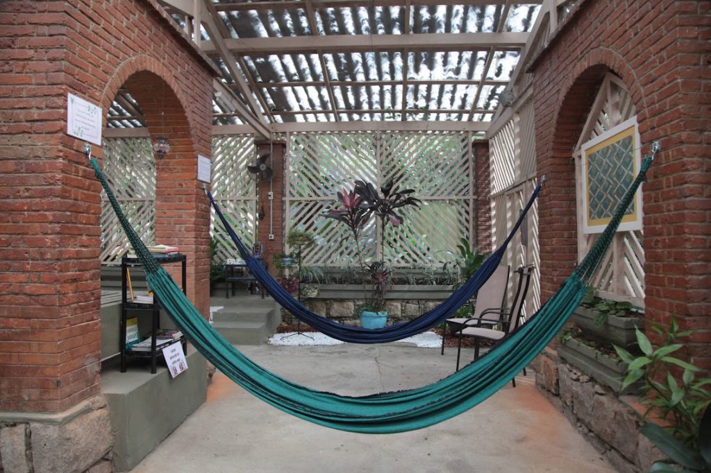 Orquidário de Santos ganha espaço para relaxamento